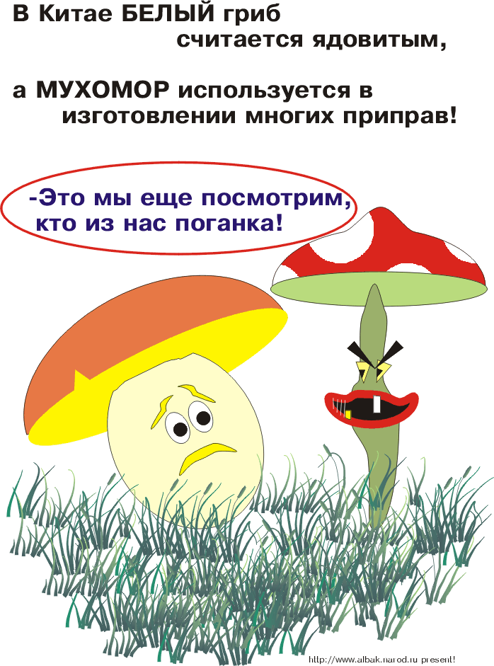 Приколы анекдоты - грибы и грибники