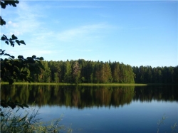 Озеро Волчино - панорама