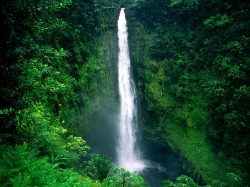 Тропический водопад