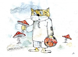 Кот грибовед