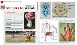 The Super Mushroom