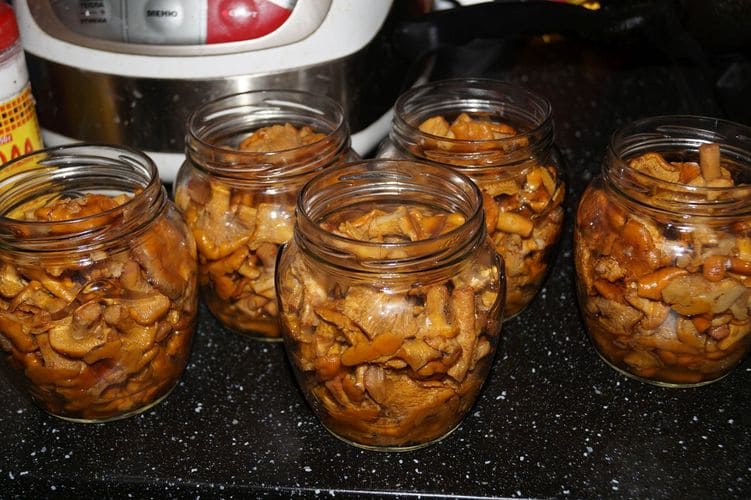 Лисички в томате - рецепты заготовки грибов впрок
