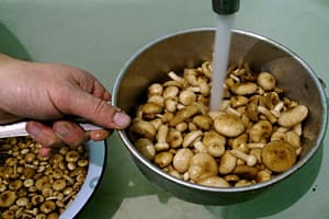 Промывание и вымачивание грибов