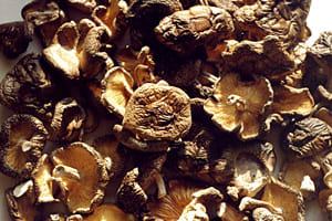 Сушка и хранение сушеных грибов